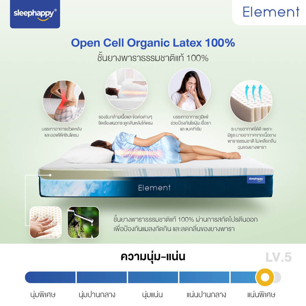 ที่นอน 6 ฟุต SLEEPHAPPY ELEMENT_3